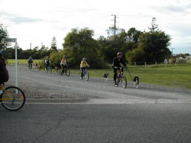 Gundog Club of SA - Endurance Test - going around