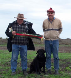Gundog Club of SA  - Saturday Novice