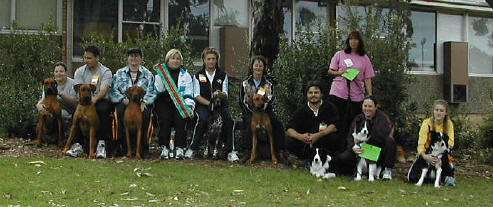 Gundog Club of SA - Endurance Test Group